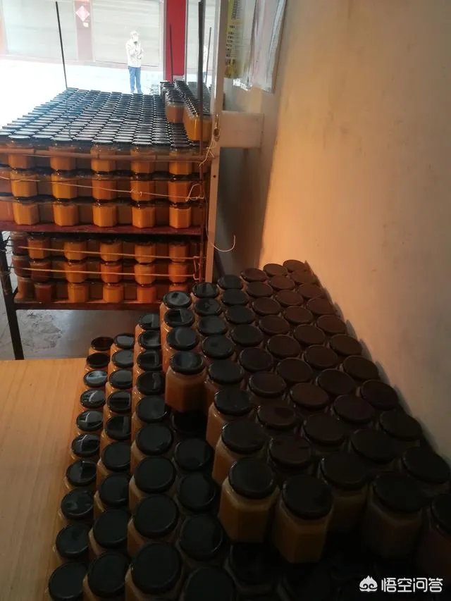 农村人自己养的蜂蜜怎么样？贵吗？