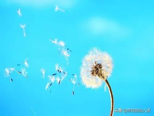 人人App宣告正式回归,我们的青春有处安放了吗?