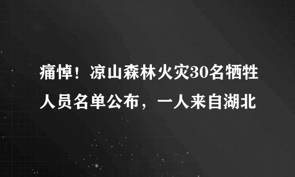 痛悼！凉山森林火灾30名牺牲人员名单公布，一人来自湖北