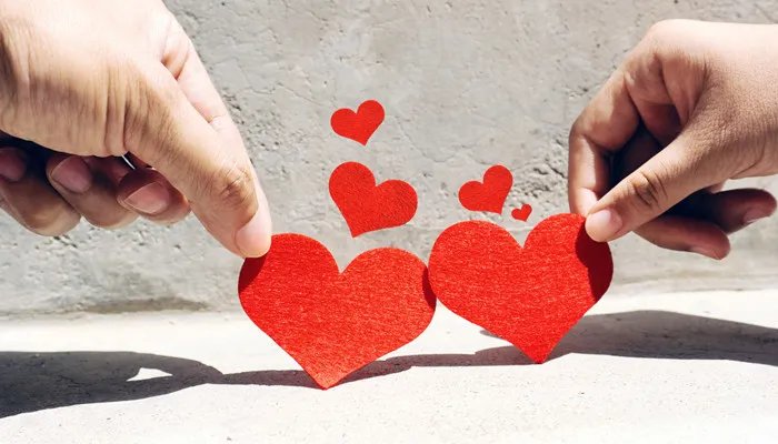 塑料爱情是什么意思 塑料爱情什么意思