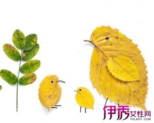 儿童树叶粘贴画图片