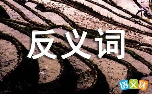 许多的反义词是什么？