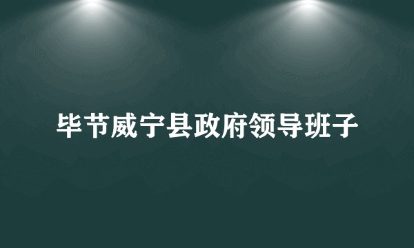 毕节威宁县政府领导班子