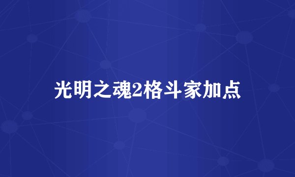 光明之魂2格斗家加点