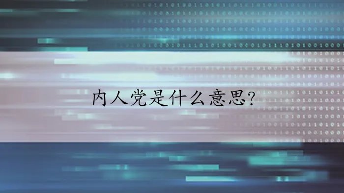 内人党是什么意思？