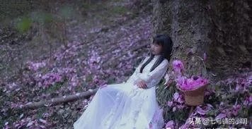 李子柒是不是文化输出引热议,你怎么看?