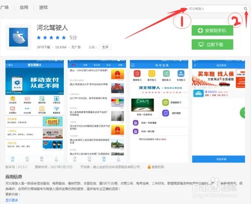 河北交通违章查询网