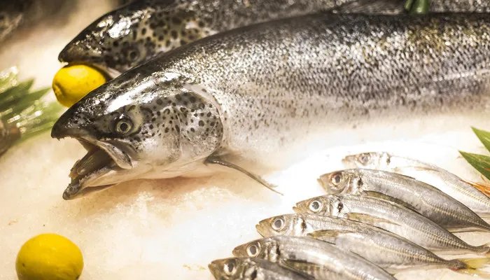 海鱼有哪些 海鱼有哪些品种
