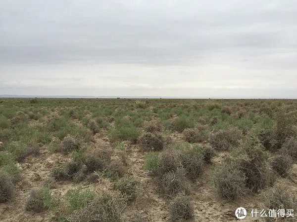 敦煌戈壁徒步——四天118公里