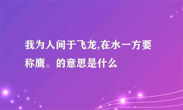 我为人间于飞龙,在水一方要称鹰。的意思是什么