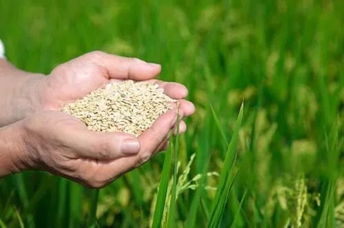 新冠再次卷土重来，妇联倡议勤俭持家，是否说明经济停滞?