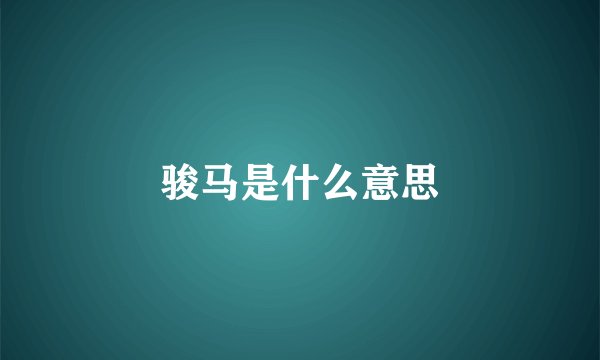 骏马是什么意思
