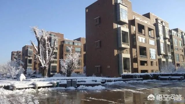 文章和马伊琍和好了吗