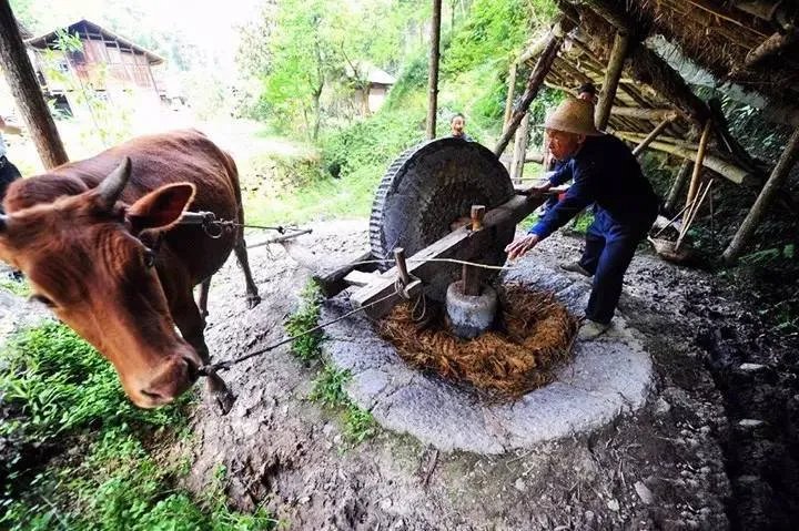 手艺 I 日常 【造火纸-生活】