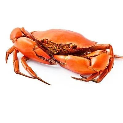 湿疹不能吃什么