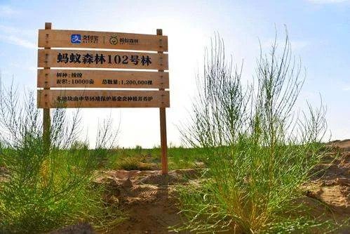 支付宝买一张火车票可以获得多少蚂蚁森林能量