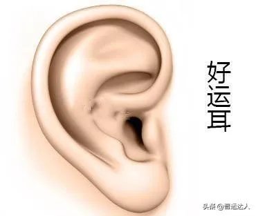 有人说耳朵大，有福气，耳朵小注定没前途，是真的吗？