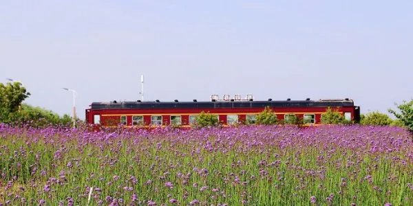 邯郸十大免费景点大全