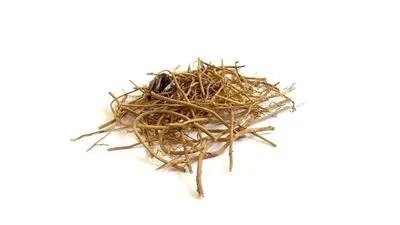 中医艾灸师 连接古今的妙手精灵