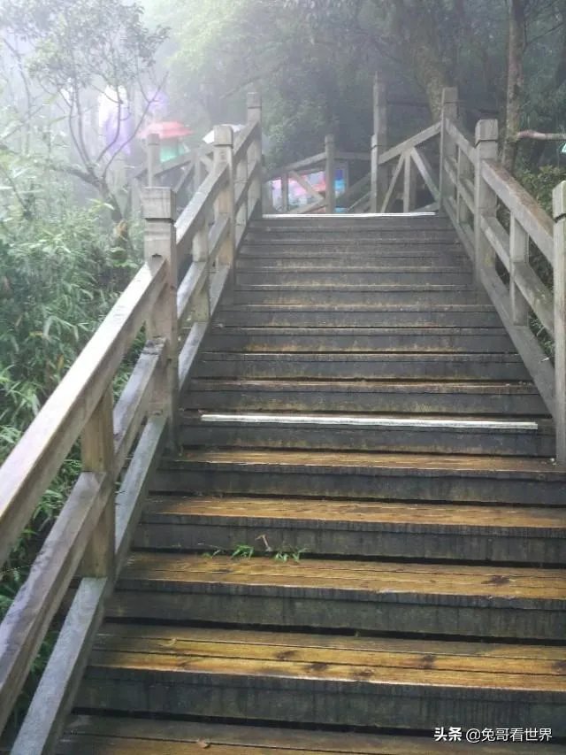 你去过的第一个A级景区是哪里？给你留下了什么深刻印象？