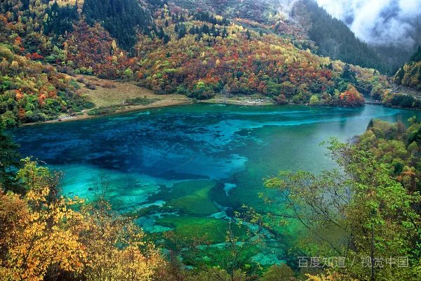 张若昀被反锁阳台一嗓子喊到前台怎么回事 ?