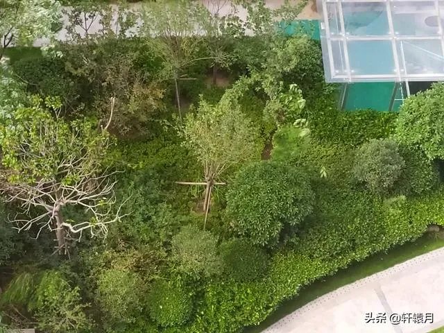 商洛：疑传销人员当街拽一小伙让其见“老大”，热心市民偶遇将其解救, 你怎么看？