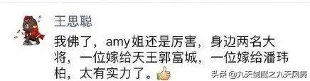 如何看待王思聪说潘玮柏的老婆是Amy的一名大将？