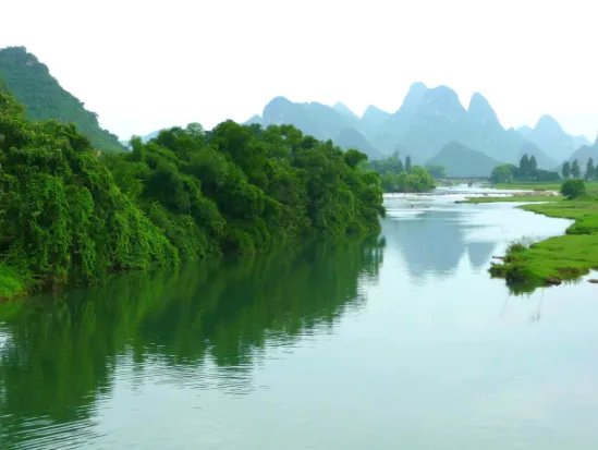 “花无百日红”的下一句是什么？