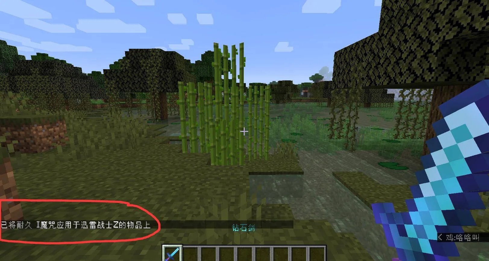 我的世界耐久指令英文是什么