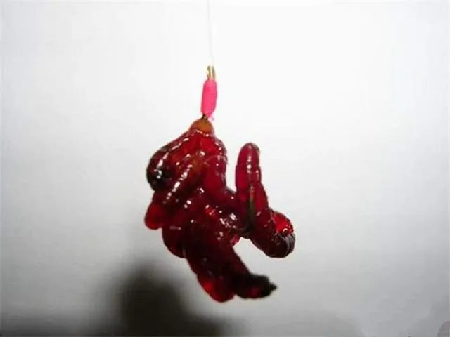 海中钓鱼用什么饵？