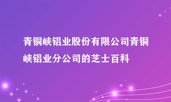 青铜峡铝业股份有限公司青铜峡铝业分公司的芝士百科