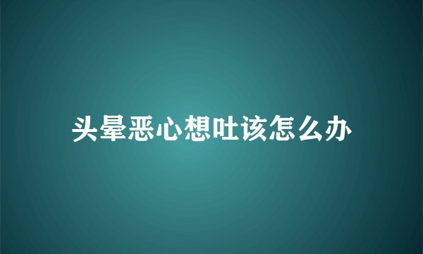 头晕恶心想吐该怎么办