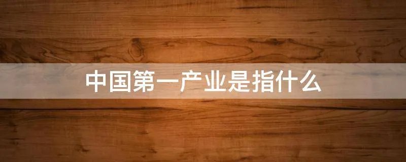 中国第一产业是指什么