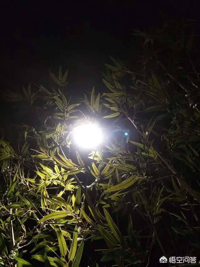 2018年冬至你是怎么过的?