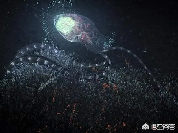 木卫二有海洋吗？有人说木卫二的海洋中存在类似海豚的生命，对吗？