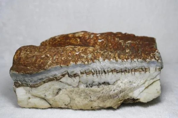 肉石很值钱吗 有照片吗