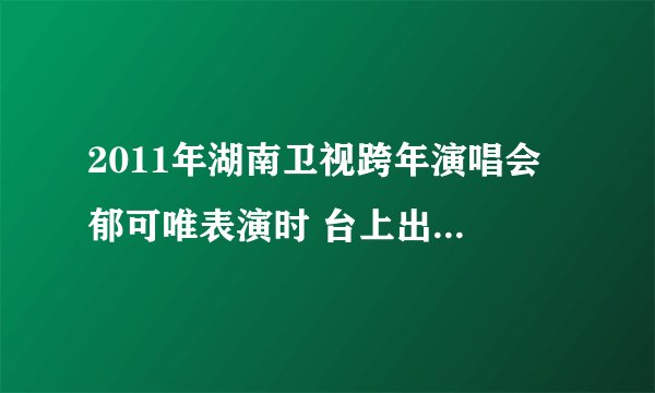 2011年湖南卫视跨年演唱会 郁可唯表演时 台上出现了一个电脑合成的人物和她合唱。。