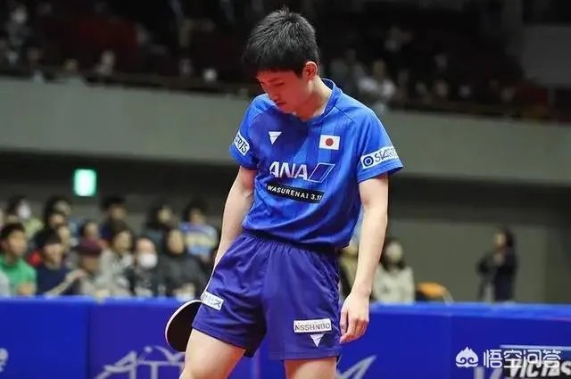 亚洲杯马龙3:1轻取张本智和，彻底打散了张本的傲气，你怎么看？