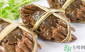 盘锦河蟹什么时候最好？盘锦河蟹什么时候最肥？