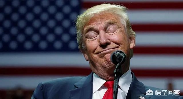 在2020年的美国总统竞选中,特朗普的最强对手还会是希拉里吗?