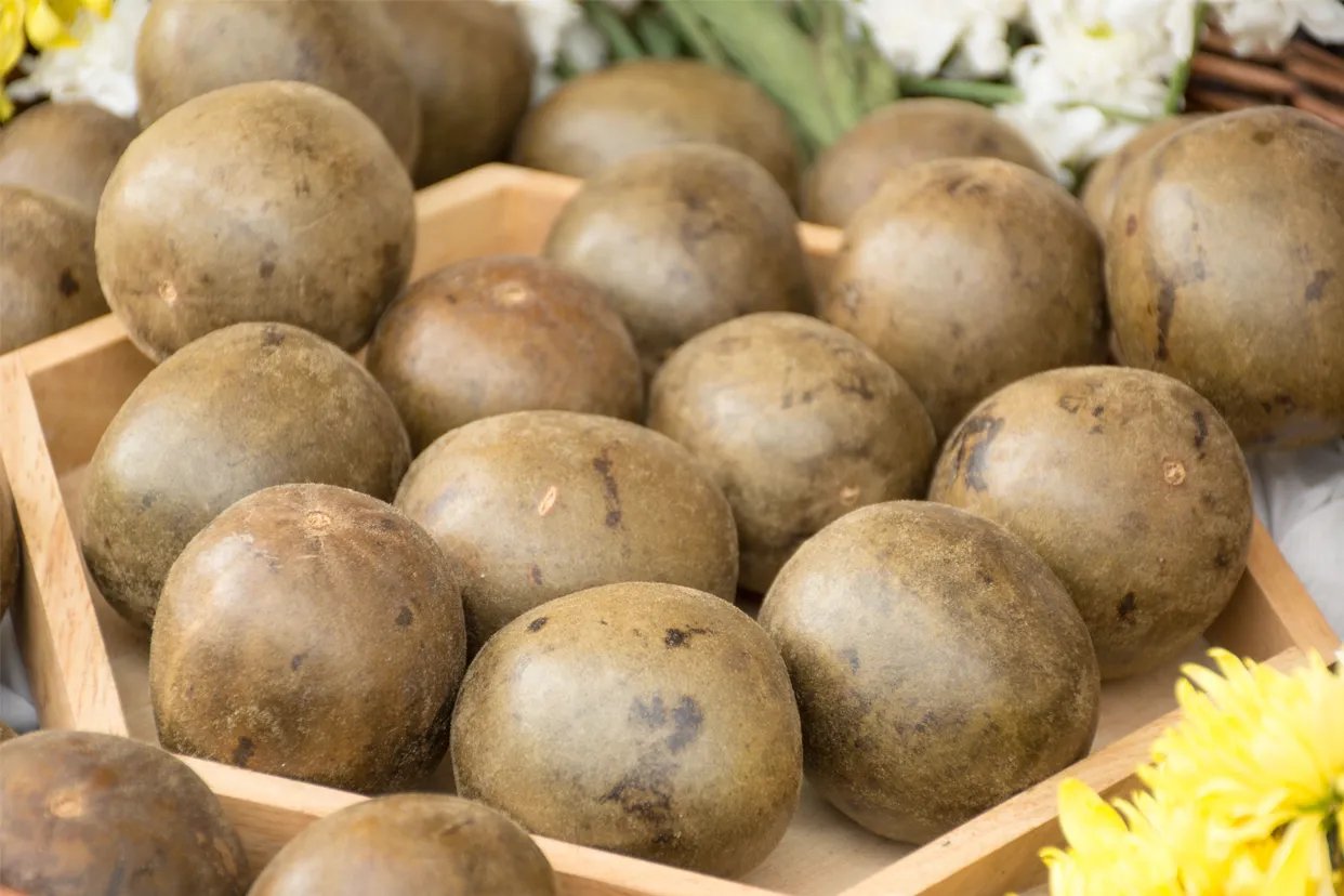 罗汉果图片大全大图