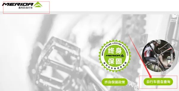 美利达怎么查车架号