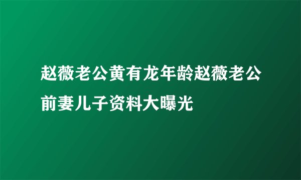 赵薇老公黄有龙年龄赵薇老公前妻儿子资料大曝光