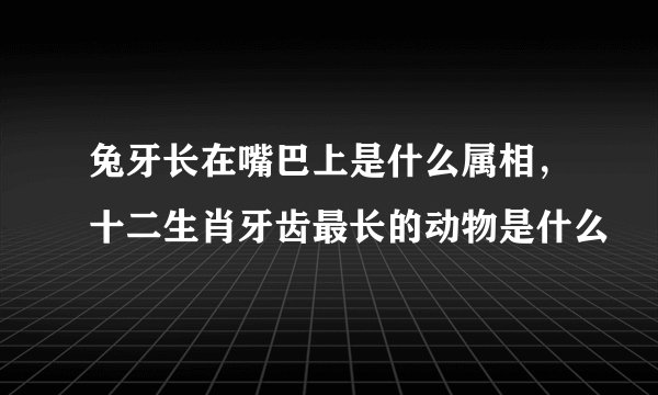 兔牙长在嘴巴上是什么属相，十二生肖牙齿最长的动物是什么