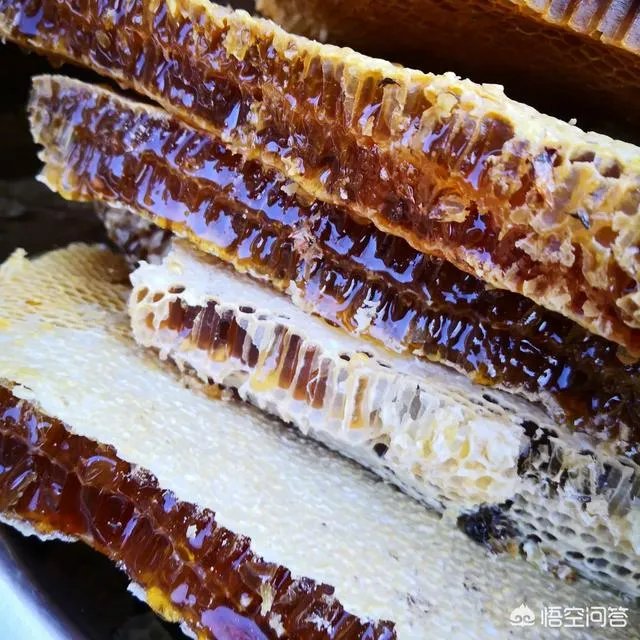 农村人自己养的蜂蜜怎么样？贵吗？