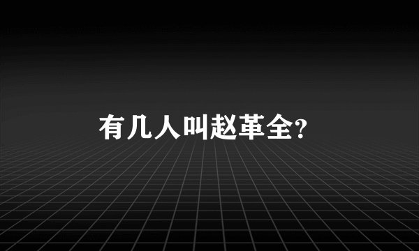 有几人叫赵革全？