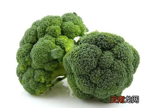 甘蓝类蔬菜有哪些种类，甘蓝菜图片