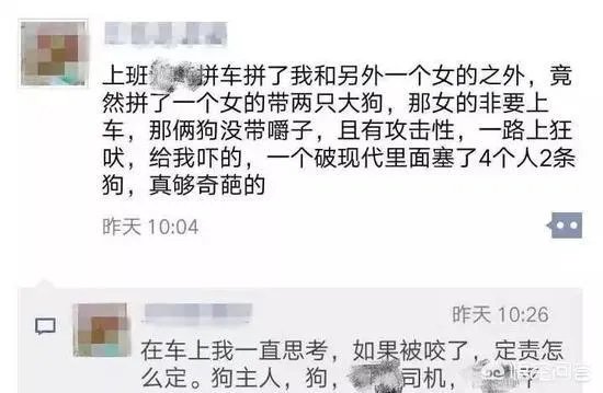 女子投诉滴滴拼车遇两大狗一路狂吠，如女子被咬伤谁应该负责？