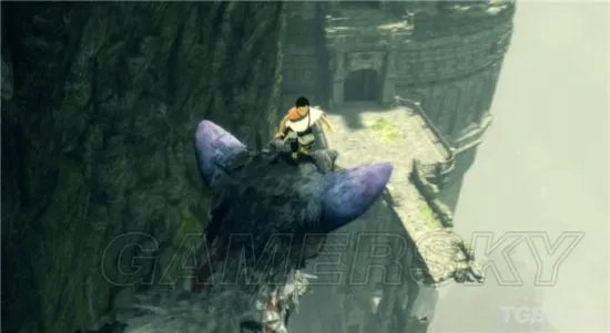 《最后的守护者》图文攻略 全章节图文流程攻略