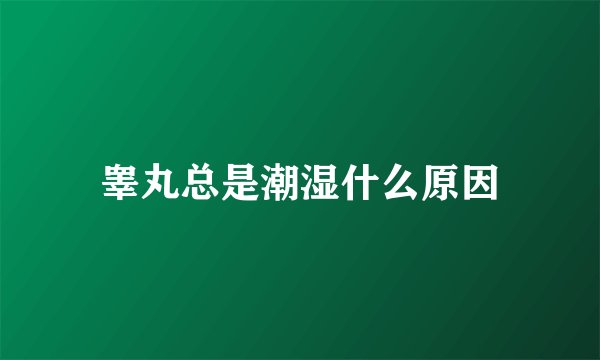 睾丸总是潮湿什么原因